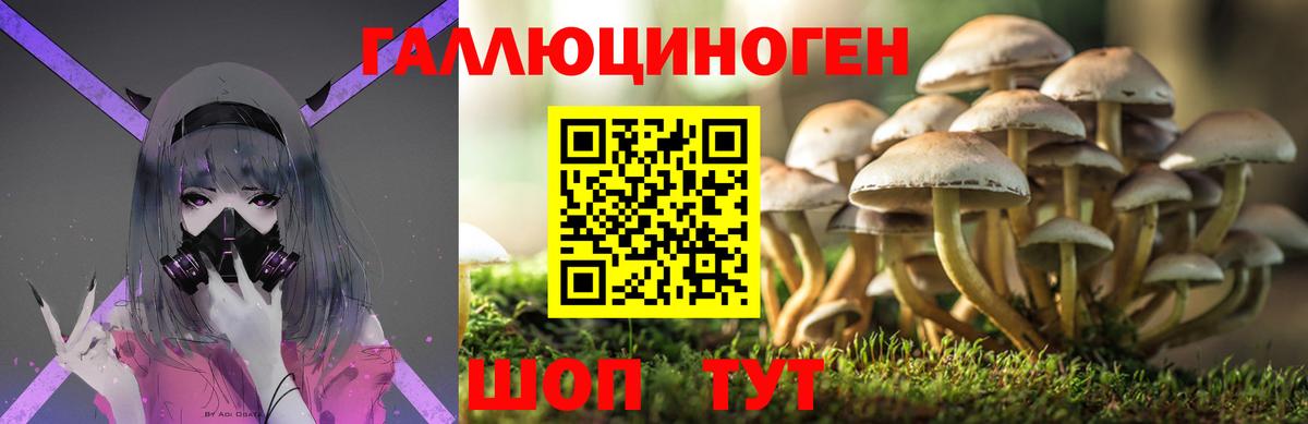 Псилоцибиновые грибы GOLDEN TEACHER  Вход с VPN  Псилоцибиновые грибы мицелий  Барабинск 